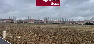 Programme terrain + maison à Paron en Yonne (89) de 124 m² à vendre au prix de 275647€ - 4