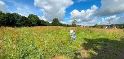 Terrain seul à Bailleulmont en Pas-de-Calais (62) de 801 m² à vendre au prix de 52965€ - 2