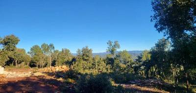 Programme terrain + maison à Le Thoronet en Var (83) de 120 m² à vendre au prix de 420000€ - 4