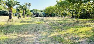 Terrain seul à Fréjus en Var (83) de 1226 m² à vendre au prix de 319000€ - 1