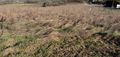 Terrain seul à Sigoulès-et-Flaugeac en Dordogne (24) de 1800 m² à vendre au prix de 36000€ - 3