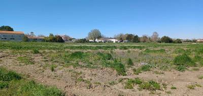 Programme terrain + maison à Saint-Denis-d'Oléron en Charente-Maritime (17) de 90 m² à vendre au prix de 265146€ - 3