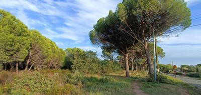 Terrain seul à Puget-sur-Argens en Var (83) de 656 m² à vendre au prix de 250000€ - 4