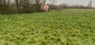 Terrain seul à Champagné en Sarthe (72) de 600 m² à vendre au prix de 38999€ - 2