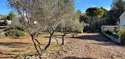 Terrain seul à Cournonterral en Hérault (34) de 535 m² à vendre au prix de 169000€ - 2