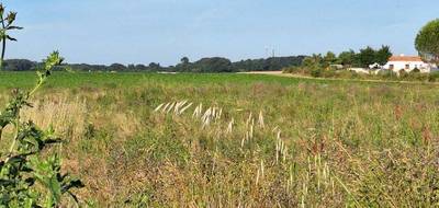 Terrain seul à Mornac-sur-Seudre en Charente-Maritime (17) de 396 m² à vendre au prix de 99000€ - 1