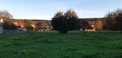 Terrain seul à Hagenthal-le-Haut en Haut-Rhin (68) de 1500 m² à vendre au prix de 290000€ - 2