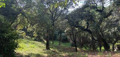 Terrain seul à Sainte-Maxime en Var (83) de 1500 m² à vendre au prix de 550000€ - 2