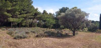 Terrain seul à Sanary-sur-Mer en Var (83) de 500 m² à vendre au prix de 460000€ - 3