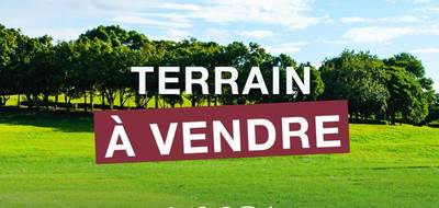 Terrain seul à Bourg en Gironde (33) de 884 m² à vendre au prix de 81000€ - 3