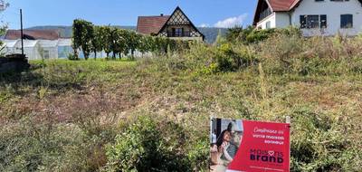 Terrain seul à Pfaffenheim en Haut-Rhin (68) de 358 m² à vendre au prix de 119000€ - 1