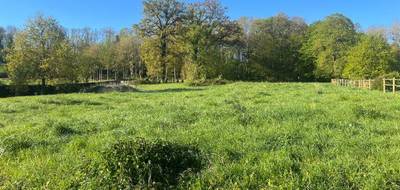 Terrain seul à Flesselles en Somme (80) de 2290 m² à vendre au prix de 70000€ - 1