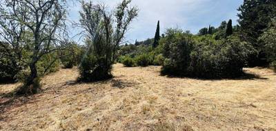 Terrain seul à Draguignan en Var (83) de 1082 m² à vendre au prix de 110000€ - 1