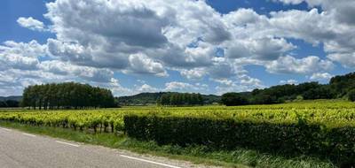 Terrain seul à Tresques en Gard (30) de 700 m² à vendre au prix de 119900€ - 1