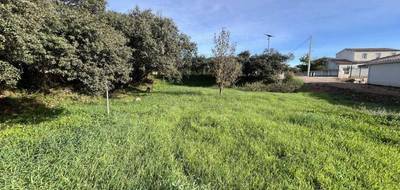 Terrain seul à Clermont-l'Hérault en Hérault (34) de 800 m² à vendre au prix de 177000€ - 1