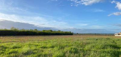 Terrain seul à Saint-Laurent-des-Vignes en Dordogne (24) de 475 m² à vendre au prix de 36500€ - 3