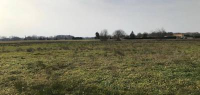 Terrain seul à Clermont en Landes (40) de 775 m² à vendre au prix de 64000€ - 1