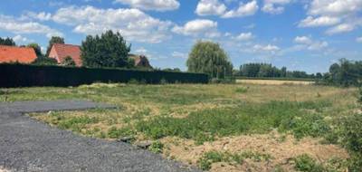 Terrain seul à La Gorgue en Nord (59) de 1198 m² à vendre au prix de 145000€ - 1