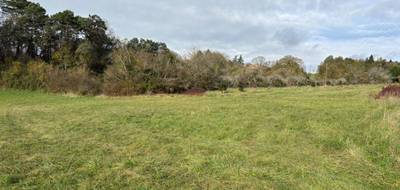 Terrain seul à Montagnac-la-Crempse en Dordogne (24) de 2000 m² à vendre au prix de 28000€ - 3