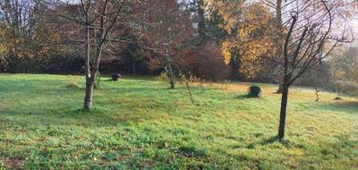 Terrain seul à Domart-en-Ponthieu en Somme (80) de 1200 m² à vendre au prix de 34000€ - 1