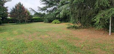 Terrain seul à Cadillac-en-Fronsadais en Gironde (33) de 810 m² à vendre au prix de 90000€ - 1