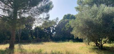 Terrain seul à Le Pouget en Hérault (34) de 1000 m² à vendre au prix de 244900€ - 1