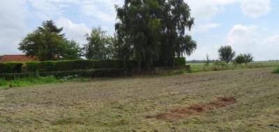 Terrain seul à Cambrai en Nord (59) de 1559 m² à vendre au prix de 50000€ - 2