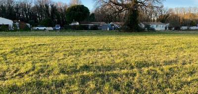 Terrain seul à Médis en Charente-Maritime (17) de 583 m² à vendre au prix de 113000€ - 2