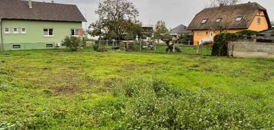 Programme terrain + maison à Meyenheim en Haut-Rhin (68) de 102 m² à vendre au prix de 365000€ - 3