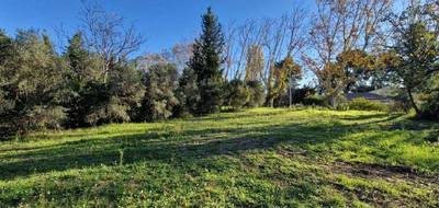 Terrain seul à Maussane-les-Alpilles en Bouches-du-Rhône (13) de 254 m² à vendre au prix de 145000€ - 2