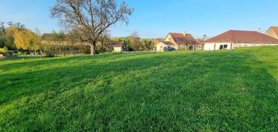 Programme terrain + maison à Eschentzwiller en Haut-Rhin (68) de 100 m² à vendre au prix de 471000€ - 4