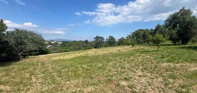 Terrain seul à Roquebrune-sur-Argens en Var (83) de 950 m² à vendre au prix de 300000€ - 2