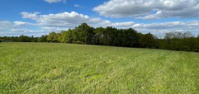 Programme terrain + maison à Horsarrieu en Landes (40) de 65 m² à vendre au prix de 198000€ - 4