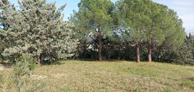 Terrain seul à Roquebrune-sur-Argens en Var (83) de 950 m² à vendre au prix de 300000€ - 2