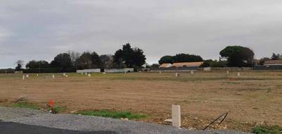 Programme terrain + maison à Le Bernard en Vendée (85) de 90 m² à vendre au prix de 202491€ - 3