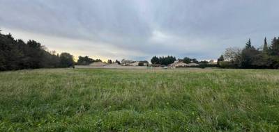 Programme terrain + maison à Maussane-les-Alpilles en Bouches-du-Rhône (13) de 95 m² à vendre au prix de 389000€ - 4