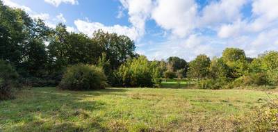 Terrain seul à Saint-Antoine-du-Rocher en Indre-et-Loire (37) de 236 m² à vendre au prix de 39000€ - 1