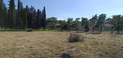 Terrain seul à Puget-sur-Argens en Var (83) de 610 m² à vendre au prix de 209000€ - 1