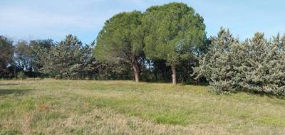 Terrain seul à Roquebrune-sur-Argens en Var (83) de 950 m² à vendre au prix de 300000€ - 4