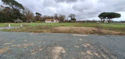 Programme terrain + maison à Les Mathes en Charente-Maritime (17) de 90 m² à vendre au prix de 395000€ - 3