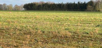 Terrain seul à Haillicourt en Pas-de-Calais (62) de 424 m² à vendre au prix de 57800€ - 3