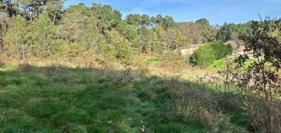 Terrain seul à Sourzac en Dordogne (24) de 1400 m² à vendre au prix de 24000€ - 1