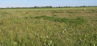 Terrain seul à Forges en Charente-Maritime (17) de 485 m² à vendre au prix de 69000€ - 2