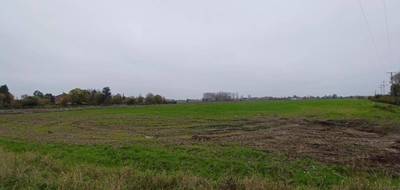 Programme terrain + maison à Locon en Pas-de-Calais (62) de 146 m² à vendre au prix de 506000€ - 3