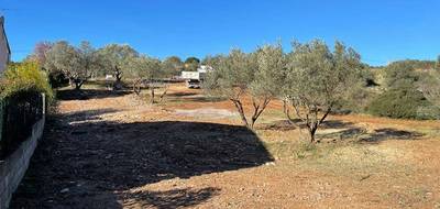 Terrain seul à Cournonterral en Hérault (34) de 350 m² à vendre au prix de 185000€ - 1