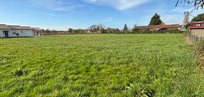 Terrain seul à Monbazillac en Dordogne (24) de 1200 m² à vendre au prix de 39000€ - 3