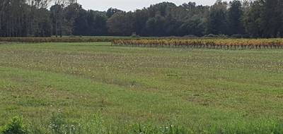 Terrain seul à Saint-Savin en Gironde (33) de 540 m² à vendre au prix de 49000€ - 1