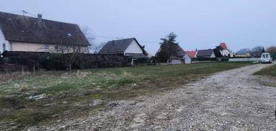 Programme terrain + maison à Raedersheim en Haut-Rhin (68) de 115 m² à vendre au prix de 586000€ - 3