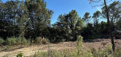 Terrain seul à Bagnols-en-Forêt en Var (83) de 900 m² à vendre au prix de 165000€ - 2