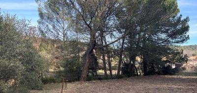 Terrain seul à Barjols en Var (83) de 770 m² à vendre au prix de 77000€ - 3